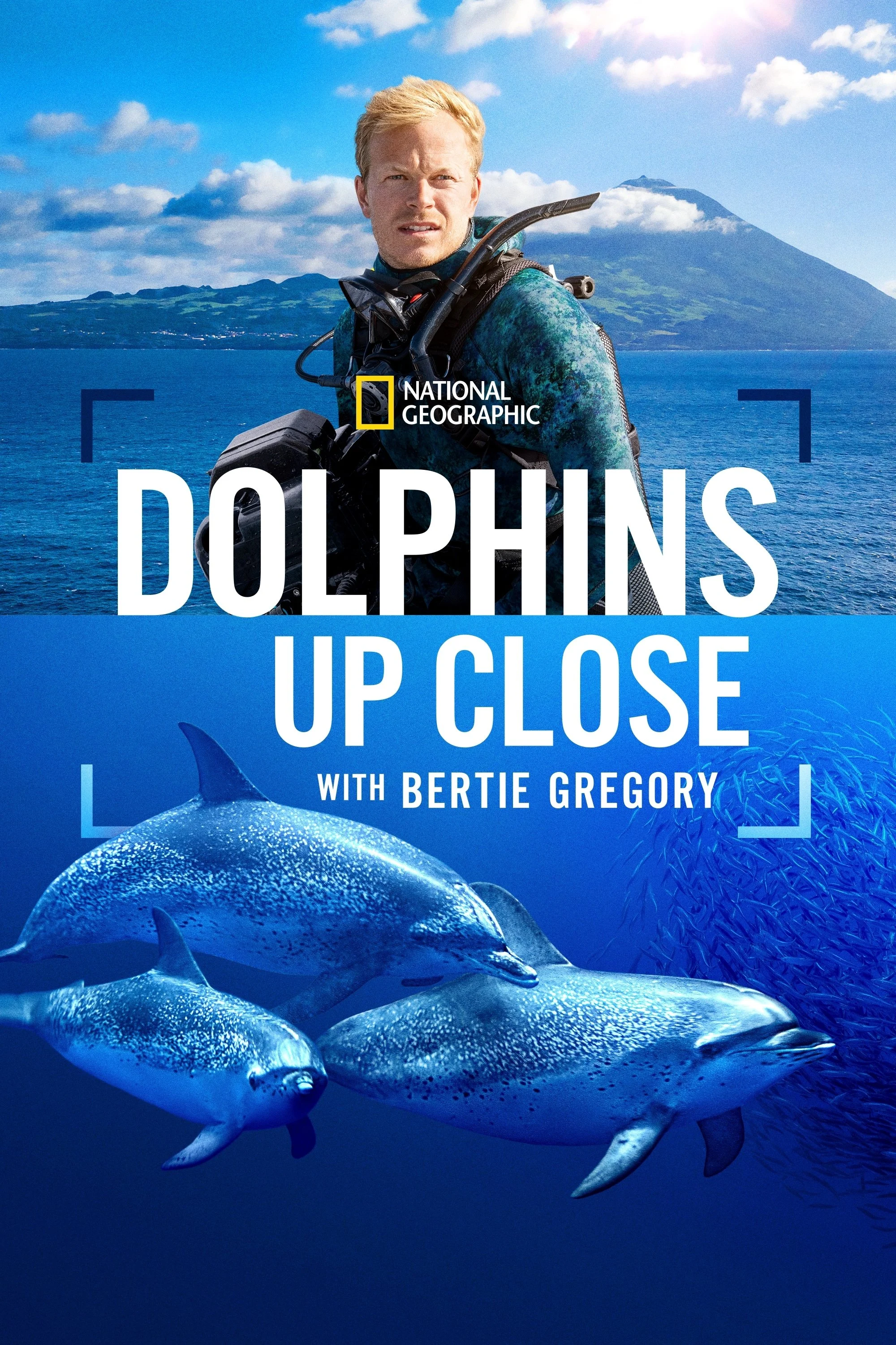 Cá Heo Gần Gũi Cùng Bertie Gregory